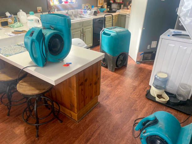 Best Water damage restoration near me  in Port Hueneme, CA