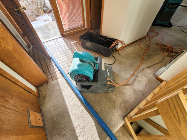 Best Fire Damage Restoration  in Port Hueneme, CA