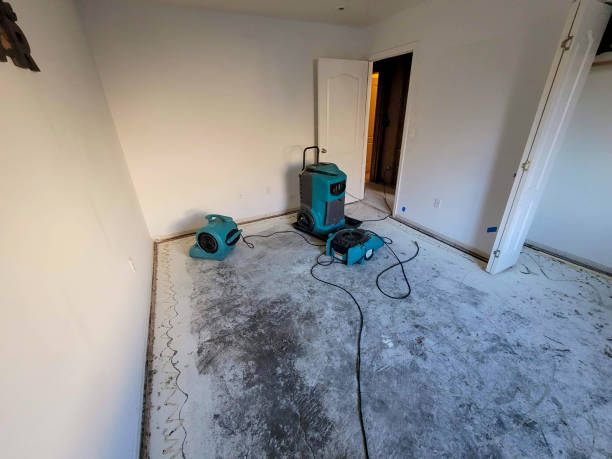 Best Water damage restoration near me  in Port Hueneme, CA