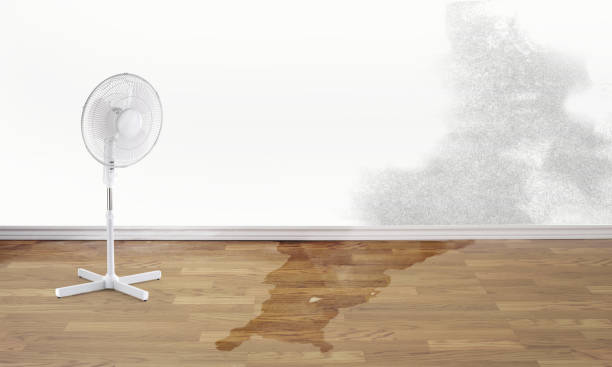 Best Water damage cleanup near me  in Port Hueneme, CA