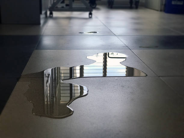 Best Water damage restoration near me  in Port Hueneme, CA