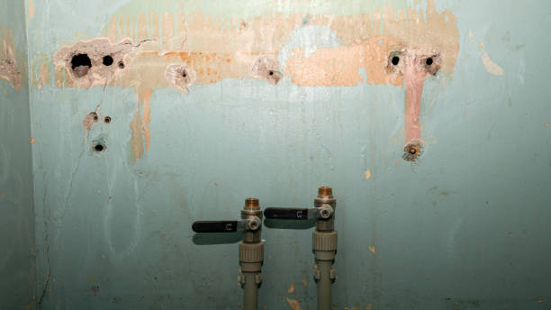 Best Carpet water damage restoration  in Port Hueneme, CA