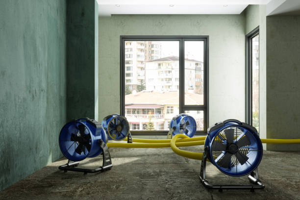 Best Water damage restoration insurance claims  in Port Hueneme, CA