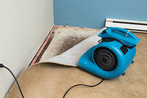 Trusted Port Hueneme, CA Water damage restoration Experts